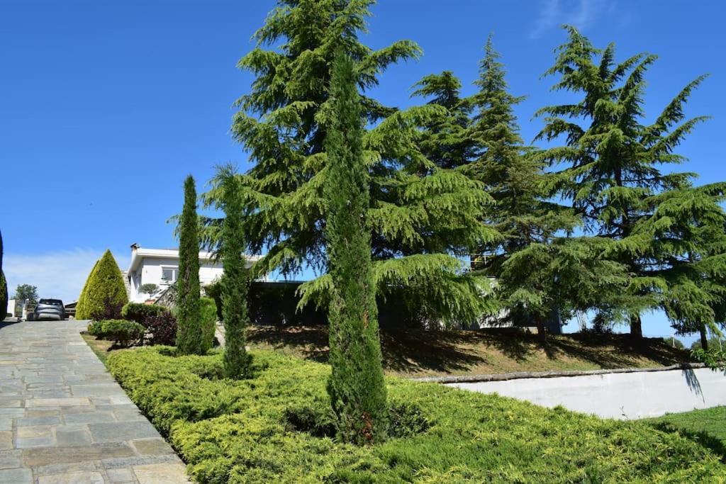 Villa Casa Chrissy Plagiárion 외부 사진