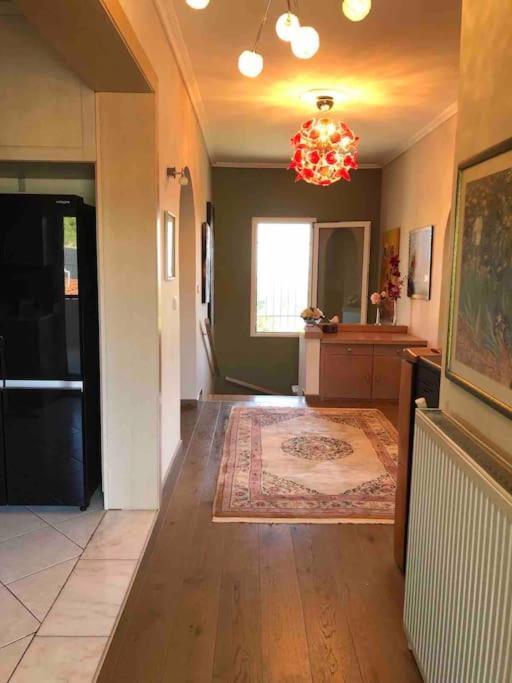 Villa Casa Chrissy Plagiárion 외부 사진