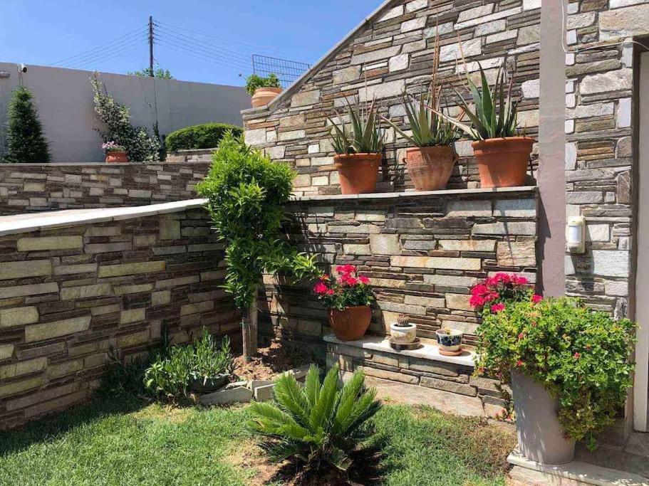 Villa Casa Chrissy Plagiárion 외부 사진