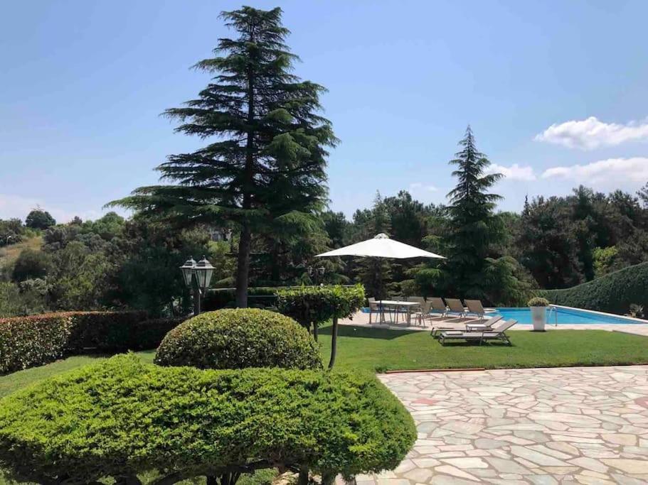Villa Casa Chrissy Plagiárion 외부 사진