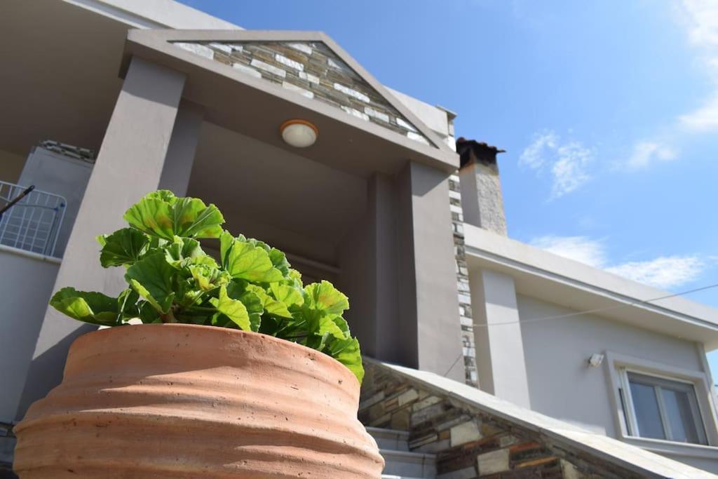 Villa Casa Chrissy Plagiárion 외부 사진